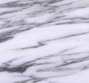 PLENSCO Grand Vena White — Dramatic White Impact