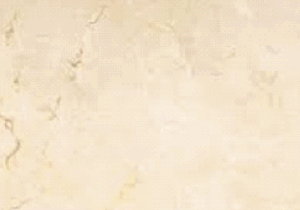 PLENSCO Crema Prestige (Crema Marfil):