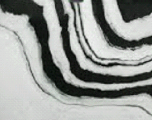 PLENSCO Panda White: